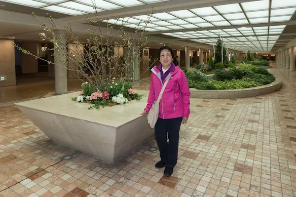 Garden in pedestrian subway, Lyn